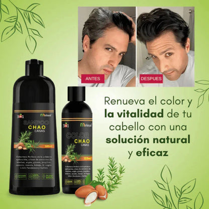 🌟 Original Chao Canas™ – Combo Shampoo + Tratamiento Natural