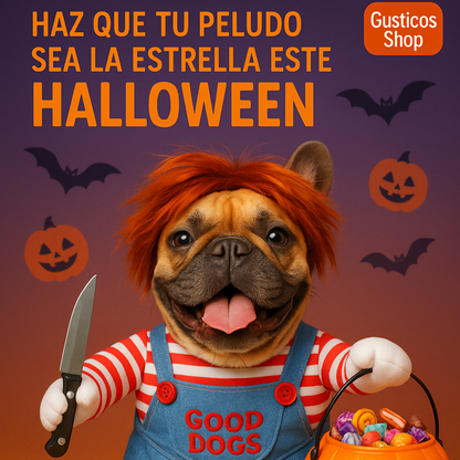 🎃 Chucky Costume™ – El disfraz oficial de Halloween para tu mascota